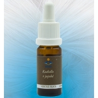 Kadidlo v jojob, 10 ml