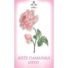 Růže damašská OTTO 1 ml